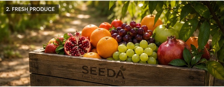 Fresh Produce – Egyptian fruits and vegetables